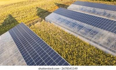 6,663 Photovoltaic Agriculture Royalty-Free Images, Stock Photos ...